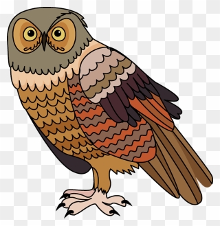 Owl Clipart - Owl - Png Download