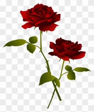 Red Rose Flower Clipart - Rose - Png Download
