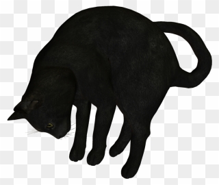 Black Cat Clip Art - Asian - Png Download