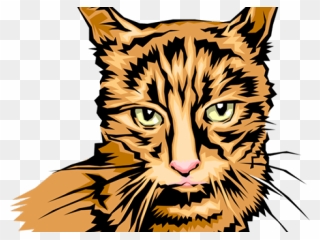 Tabby Cat Clipart Cat Head - Clip Art - Png Download