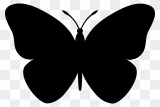 Outline Pencil And In - Clip Art Black Butterfly - Png Download