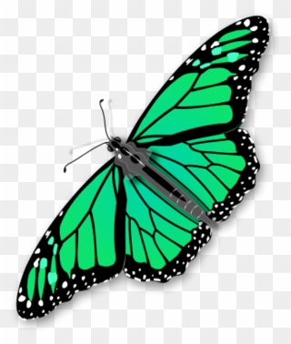Transparent Butterflies Clipart - Butterfly Clip Art Transparent Background - Png Download