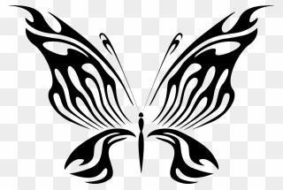 Butterfly Line Art 13 Clip Arts - Tribal Butterfly Png Transparent Png