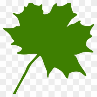 Maple Leaf Clipart Green Maple Leaf Clipart Clipart - Black Maple Leaf Clip Art - Png Download