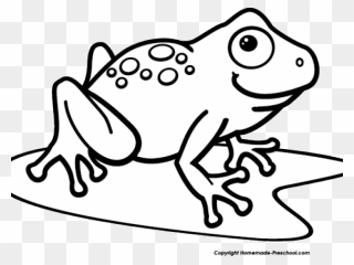 Clip Art Black And White Frog - Png Download