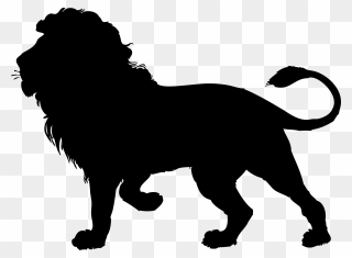 Lion Black Clipart - Shadow Of A Lion - Png Download