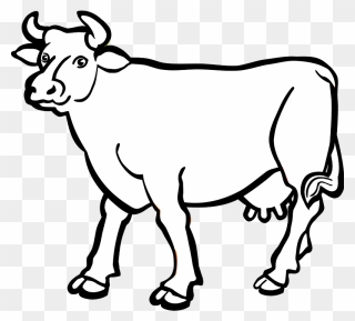 Cow Clipart - Cow's Udder Black And White Images Free - Png Download