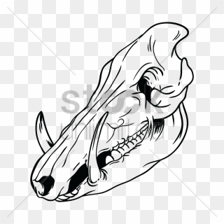 Pig Clipart Skull - Wild Boar Drawing Skull - Png Download