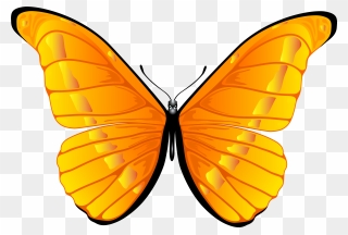 Butterfly In Clipart - Butterfly Clip Art Png Transparent Png