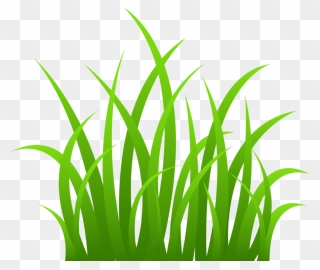 Transparent Background Grass Clipart - Png Download