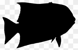 Black & White - Silhouette Fish Clipart Transparent - Png Download