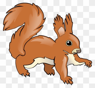 Thumb Image - Red Squirrel Clipart - Png Download