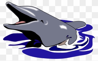 Cute Dolphin In Water Clipart - Dolphin Mouth Open Clipart - Png Download