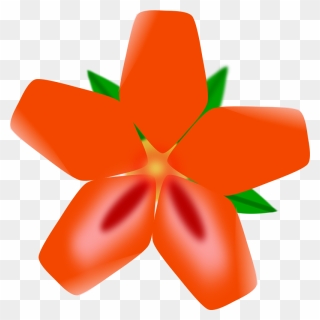 Transparent Red Flower Clipart - Spring Orange Flowers Clipart - Png Download