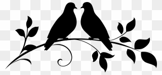 Portable Network Graphics Image Video Silhouette Clip - Birds On A Branch Silhouette - Png Download