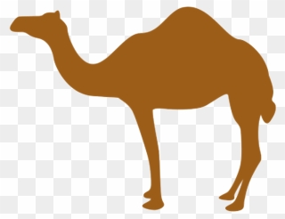 Tech Camel - Camel Clip Art Png Transparent Png