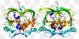 3d Rendering Of The Axh Domain Of Ataxin 1 Protein - Spinocerebellar Ataxia Clipart