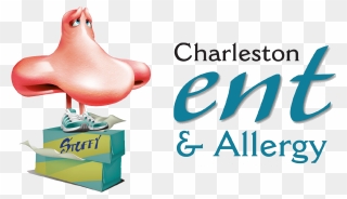 Charleston Ent & Allergy - Charleston Ent Clipart