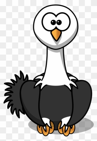 Ostrich With Black Feathers Png Images - Transparent Png Clipart Cartoon Ostrich