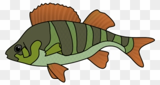Green Orange Fish Drawing - Fish Drawing Png Clipart