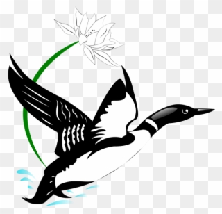 The Chisago-lindstrom Lakes Association Serves Residents - Loon Drawing Clipart
