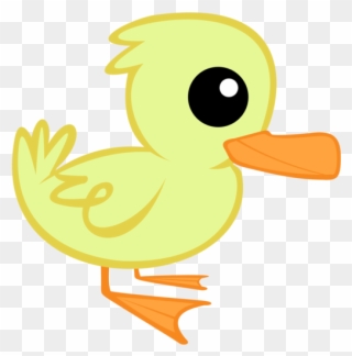 Images Related To Image - Duck Clipart