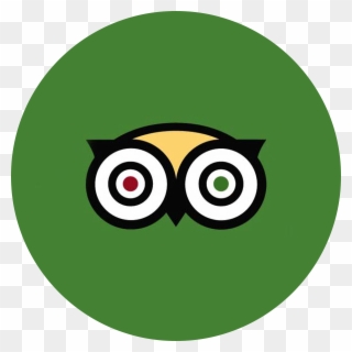 Logo Trip Advisor Png Clipart