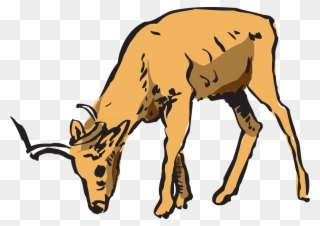 Antelope Pinart Royalty Free Stock Photo Animated - Cartoon Deer Eating Corn Clipart