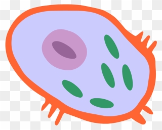 Cell Science Icon Png Clipart