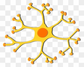 Neuron Clipart Generic - Dendritas De La Neurona - Png Download