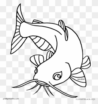 Clipart Library Catfish Clipart Black And White - Drawing Of A Catfish - Png Download