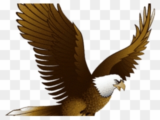 Bald Eagle Clipart Traceable - Eagle Transparent Clip Art - Png Download