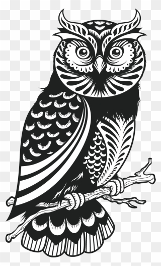 Owl Black And White Clipart