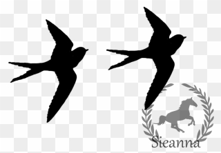 Drawings Of Black Birds Clipart