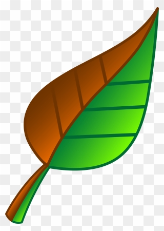 Vector Clipart Leaf - Brown And Green Leaf - Png Download
