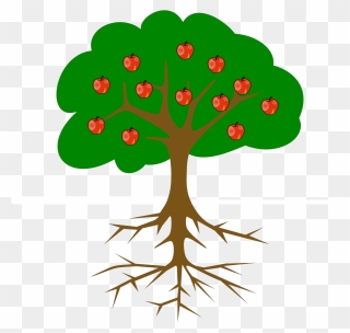 Apple Tree With Roots Clipart