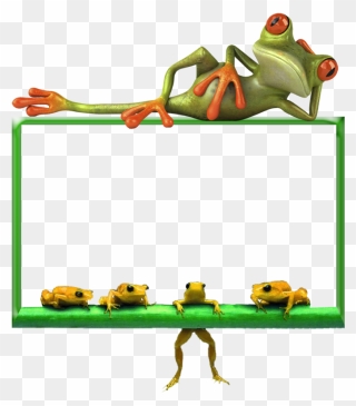 Funny Frog Png Clipart