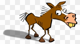 Transparent Bewildered Clipart - Wet Donkey - Png Download