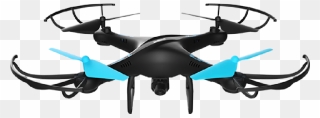 Blue Jay Drone Clipart