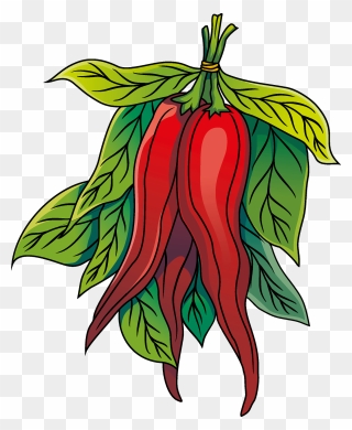 Chili Clipart - Png Download