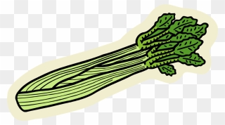 Vector Illustration Of Edible Vegetable Celery Stalk - Celery Clip Art - Png Download