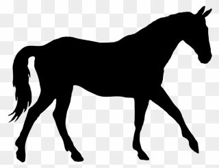 1000 Ideas About Horse Silho - Horse Silhouettes Clipart