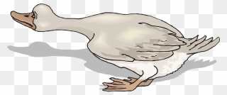 Scared Duck Clipart - Png Download