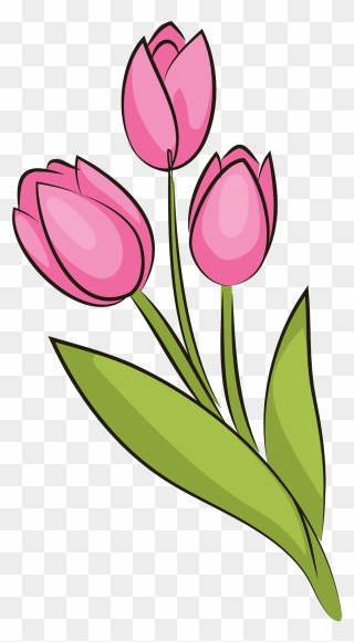 Bouquet Of Tulips Clipart - Tulips Clipart - Png Download
