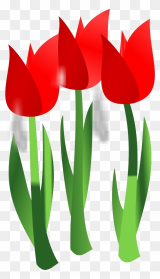 Mothers Day Flowers Vector Clipart