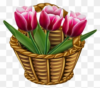 Transparent Tulips Clipart - Доброе Утро И Хорошего Дня Четверг - Png Download