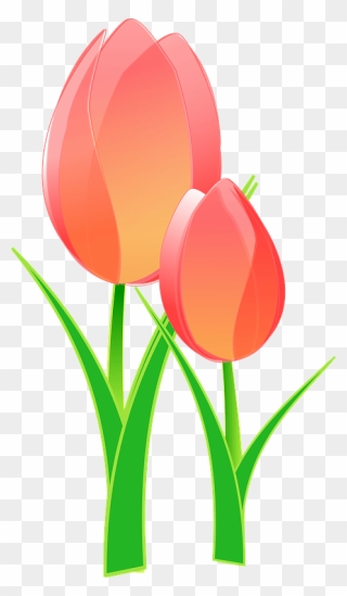 Tulips Clipart - Bible Verses About Joy - Png Download