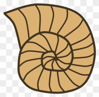 Snail Shell Clipart