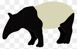 Tapir Animal Clipart - Cat - Png Download
