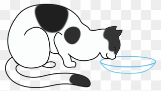 Transparent Bottled Water Clipart - Cat Drinking Milk Drawing - Png Download